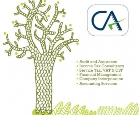 Chartered Accountant in Delhi | Auditing Firms in India | Tax Advisory firms in India