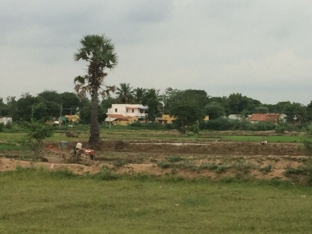  1.53  Acres Agriculture and farm  house land for sale in Keeranur at Illaiyavayal 