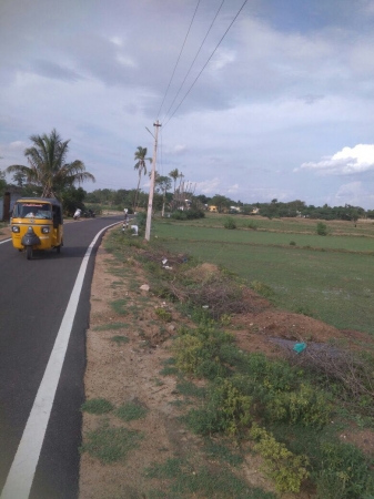 1.53 acres agriculture land for sale in keeranur,illayavayal at pudukottai