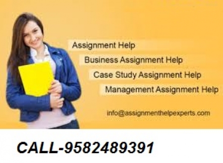 NIOS ASSIGNMENT SOLVED  301 Hindi Papers Class 12