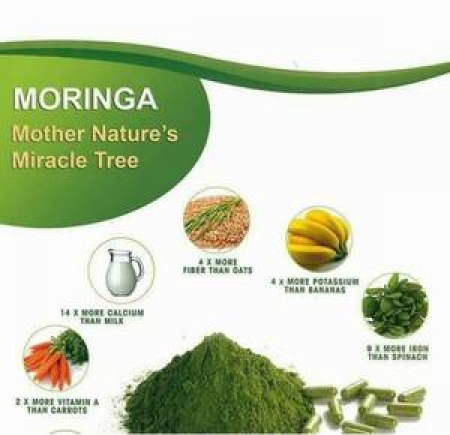 Organic Moringa Leaf Powder Manufacturers | Grenera moringa wholesale