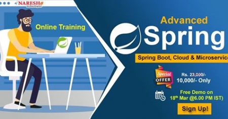Best Institute for Learning Spring Advanced Online Training course in USA -